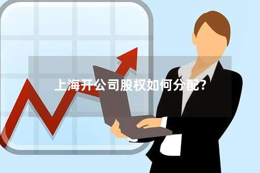 上海开公司股权如何分配？